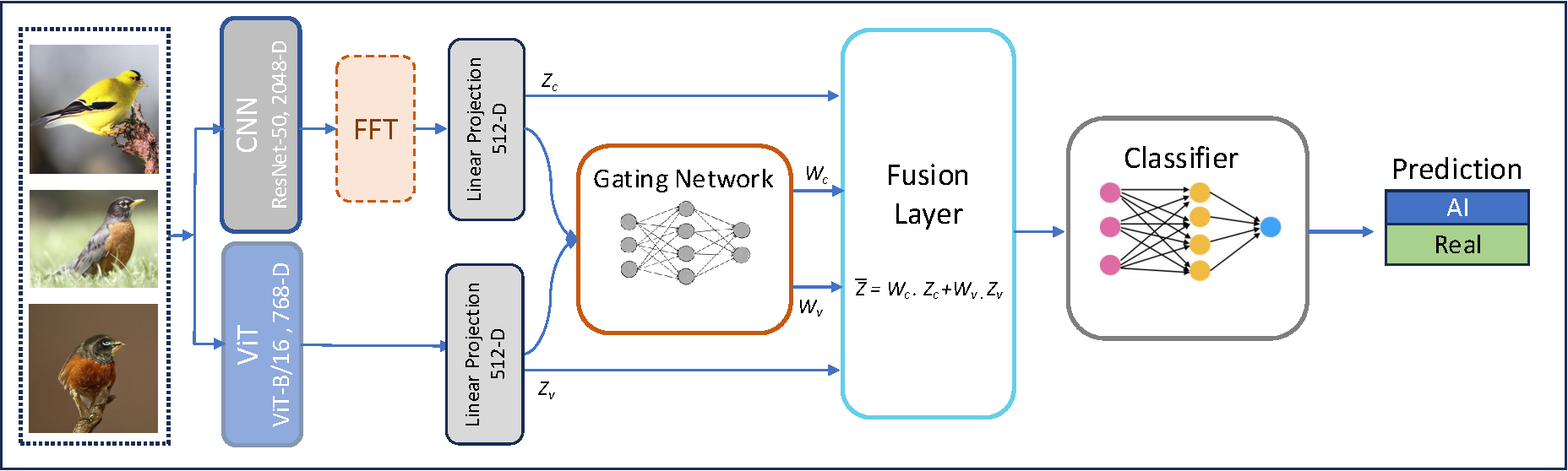 CNN-ViT hybrid methodology diagram